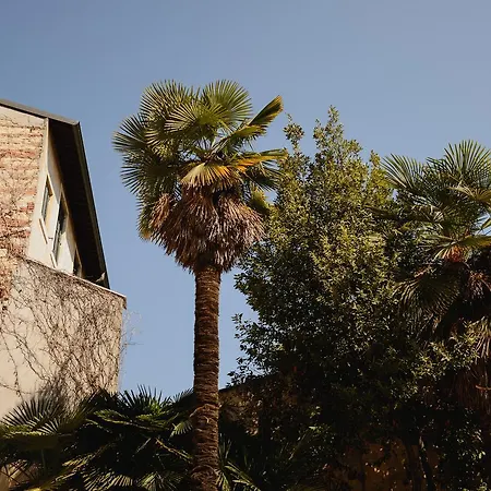 La Palmetta Appartement